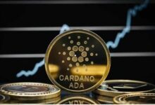 Cardano