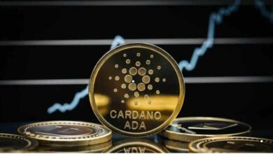 Cardano