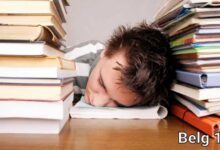 studeren
